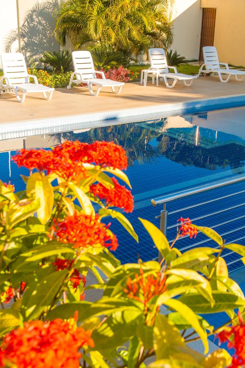 Flores vermelhas ao lado da piscina